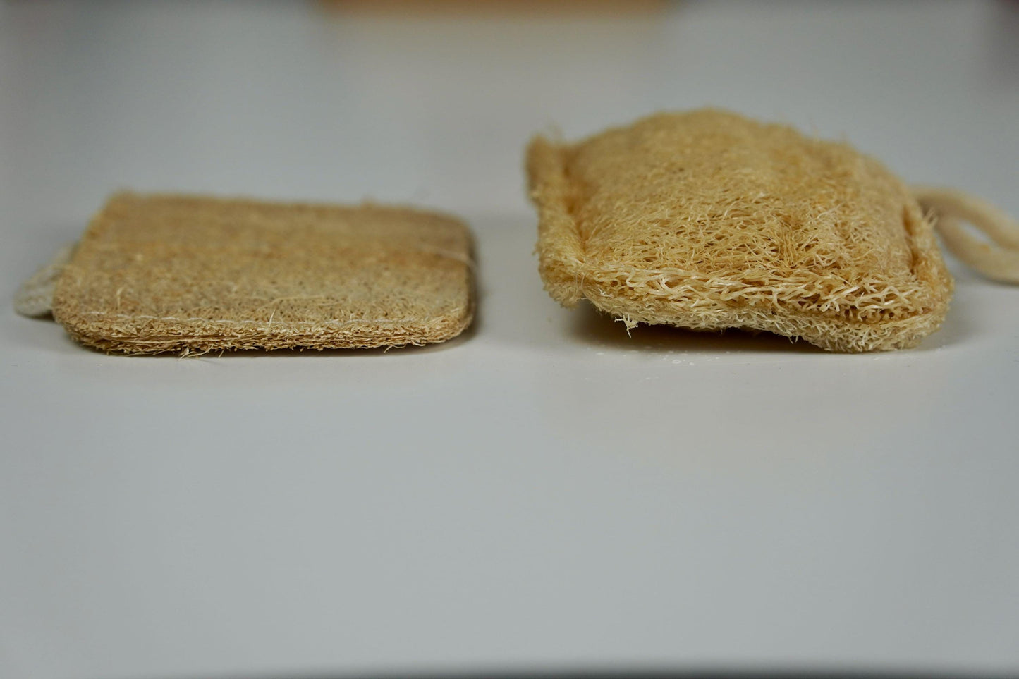 Double Layer Loofah Sponge
