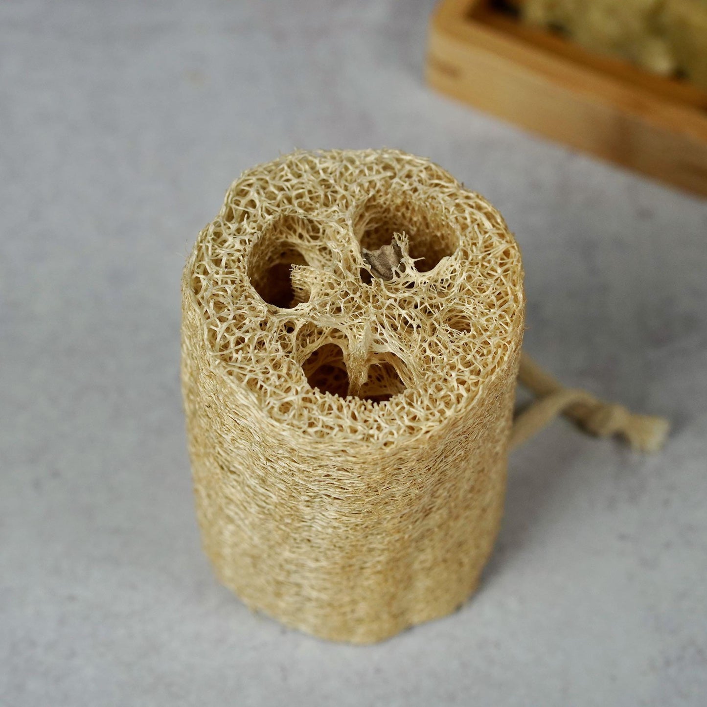 Natural Loofah