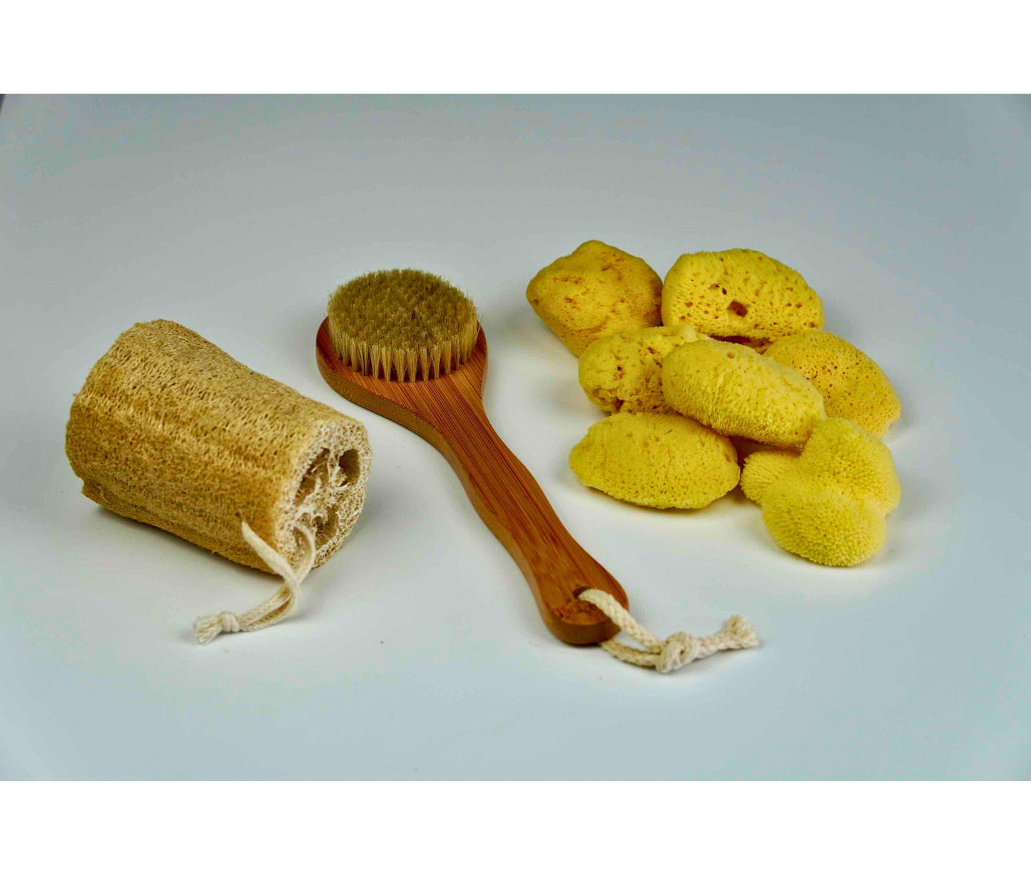 Natural Sea Sponge