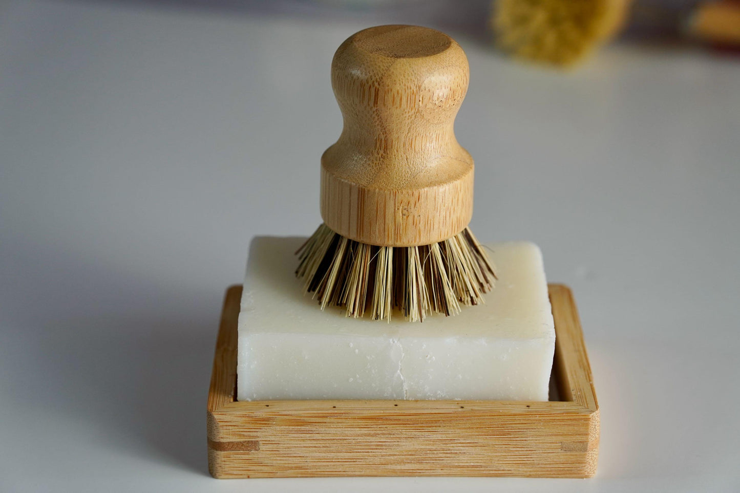 Sisal & Palm Pot Brush