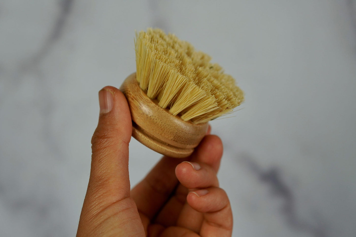 Sisal Dish Brush With Replaceable Head