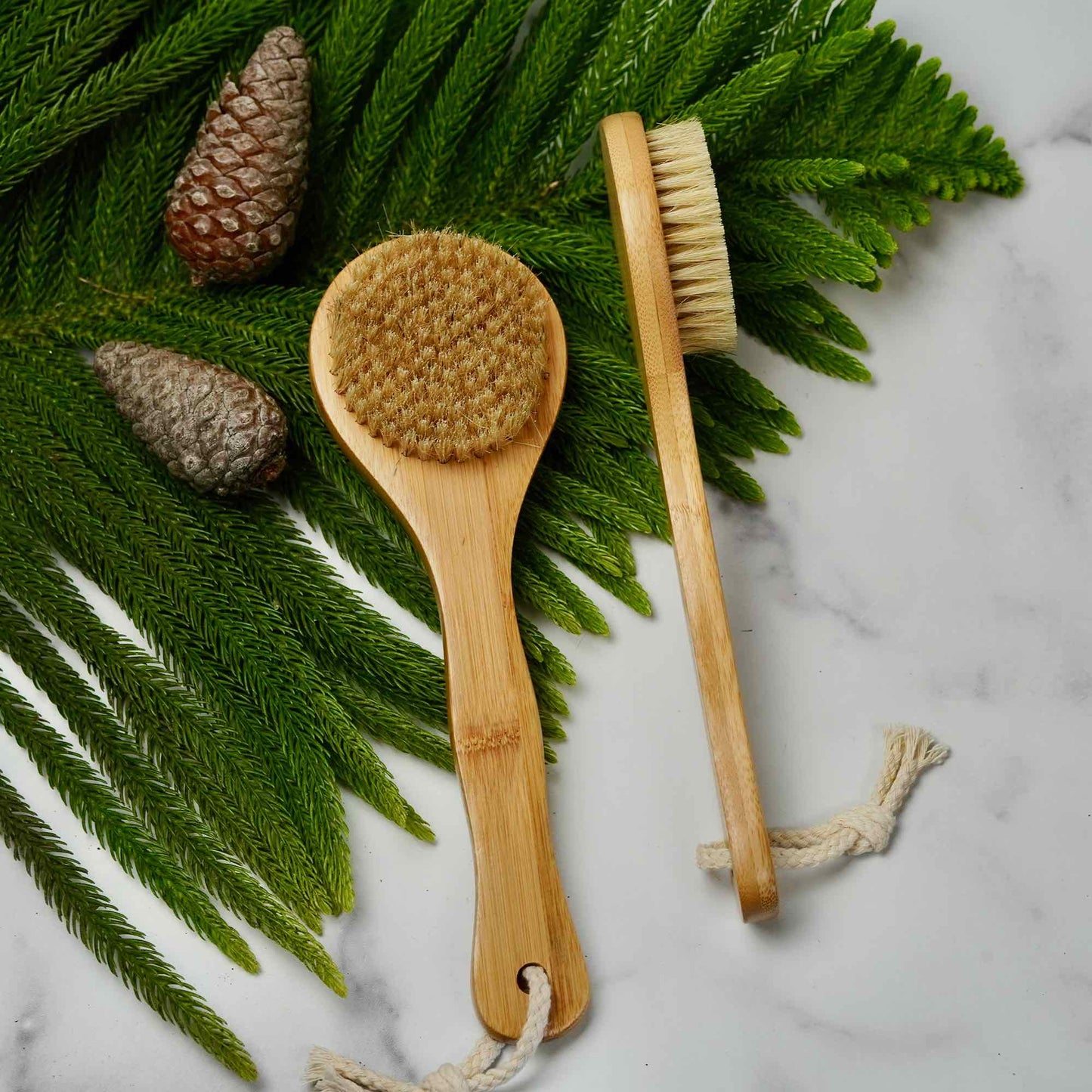 Dry Body Brush