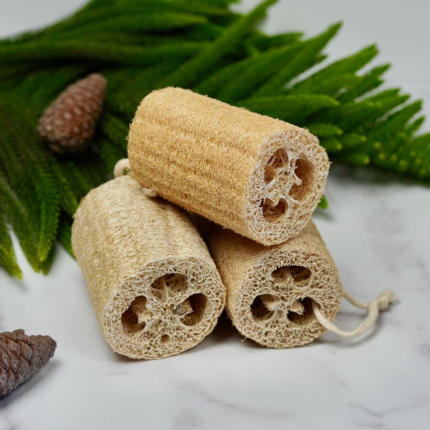 Natural Loofah