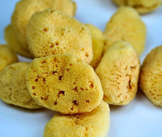 Natural Sea Sponge